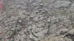 tn IMG 20251029 115412453
