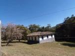 tn P7190446