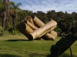 tn P7160030