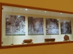 tn P6220773